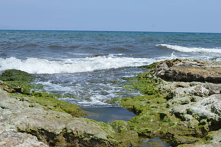 morze, Plaża, skały, zielony, niebieski, pianki