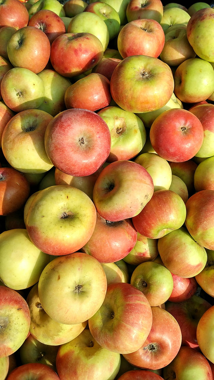 õunad, punased õunad, puuviljad, terve